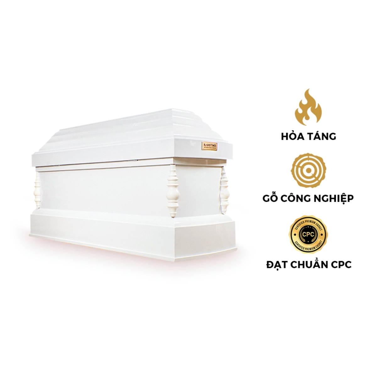 Ảnh web (19)