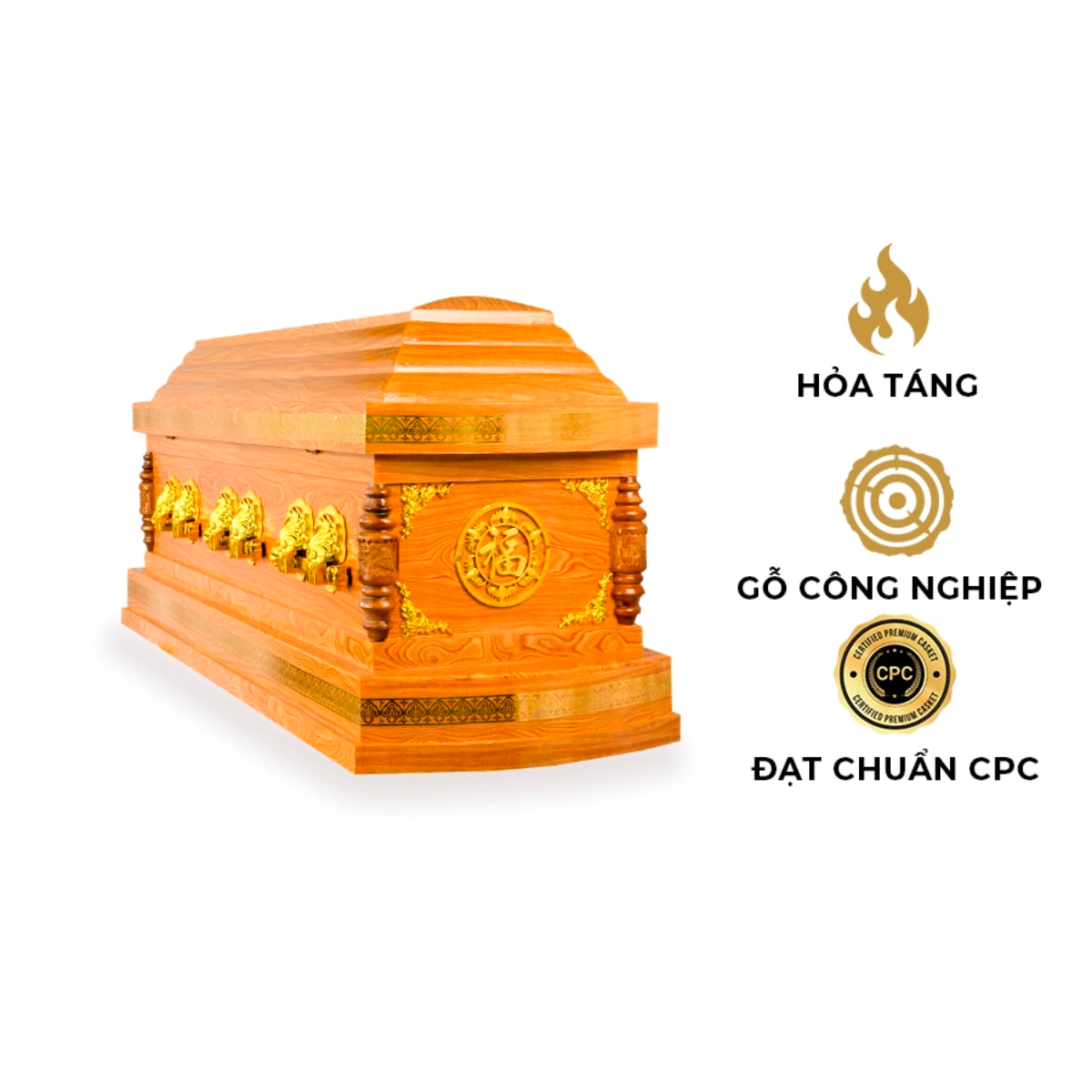 Ảnh web (56)